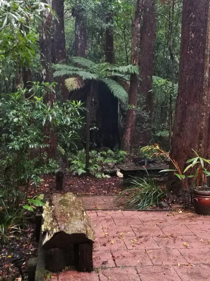 Springbrook Storybook Apartment Luaran gambar